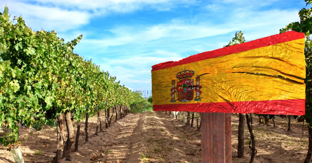 I Vini più Diffusi in Spagna