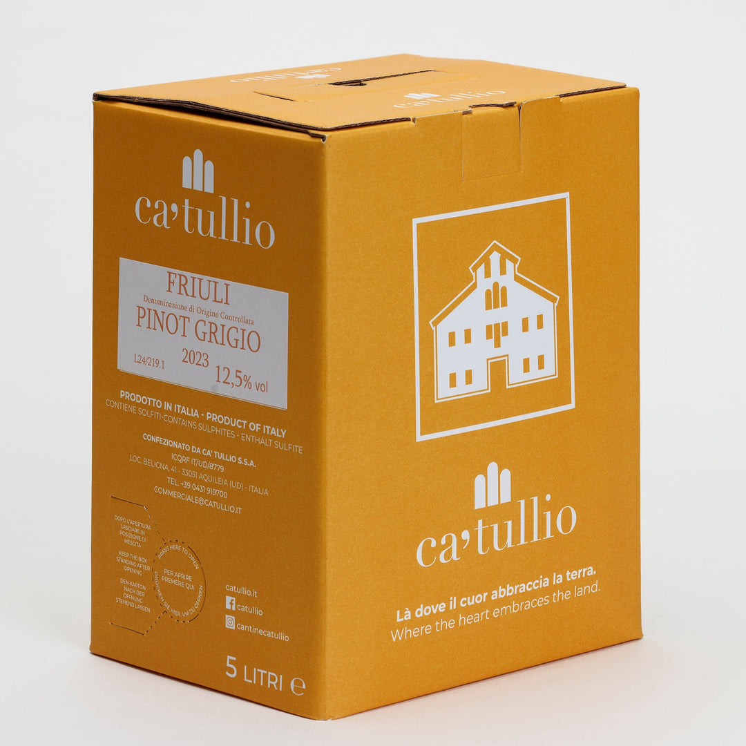 Pinot Grigio DOC Bag in Box lt 5