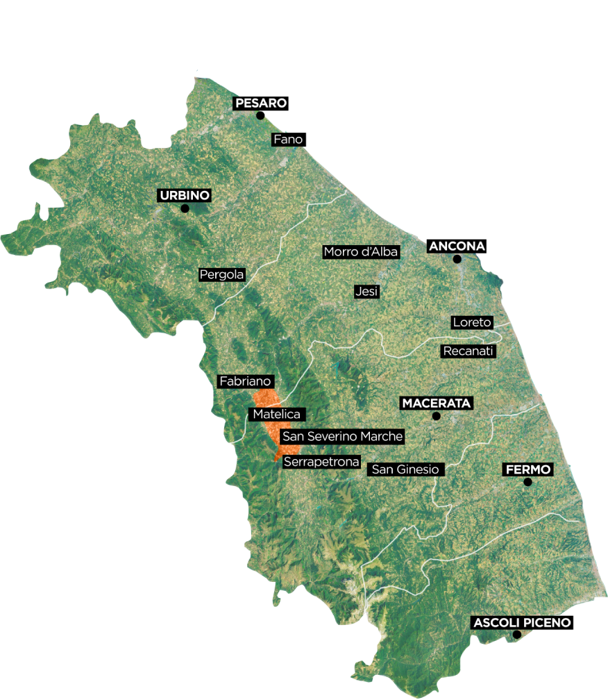 Verdicchio di Matelica: storia, territorio e tradizione