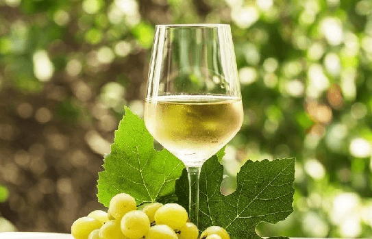 Falanghina: storia e caratteristiche del celebre vitigno campano