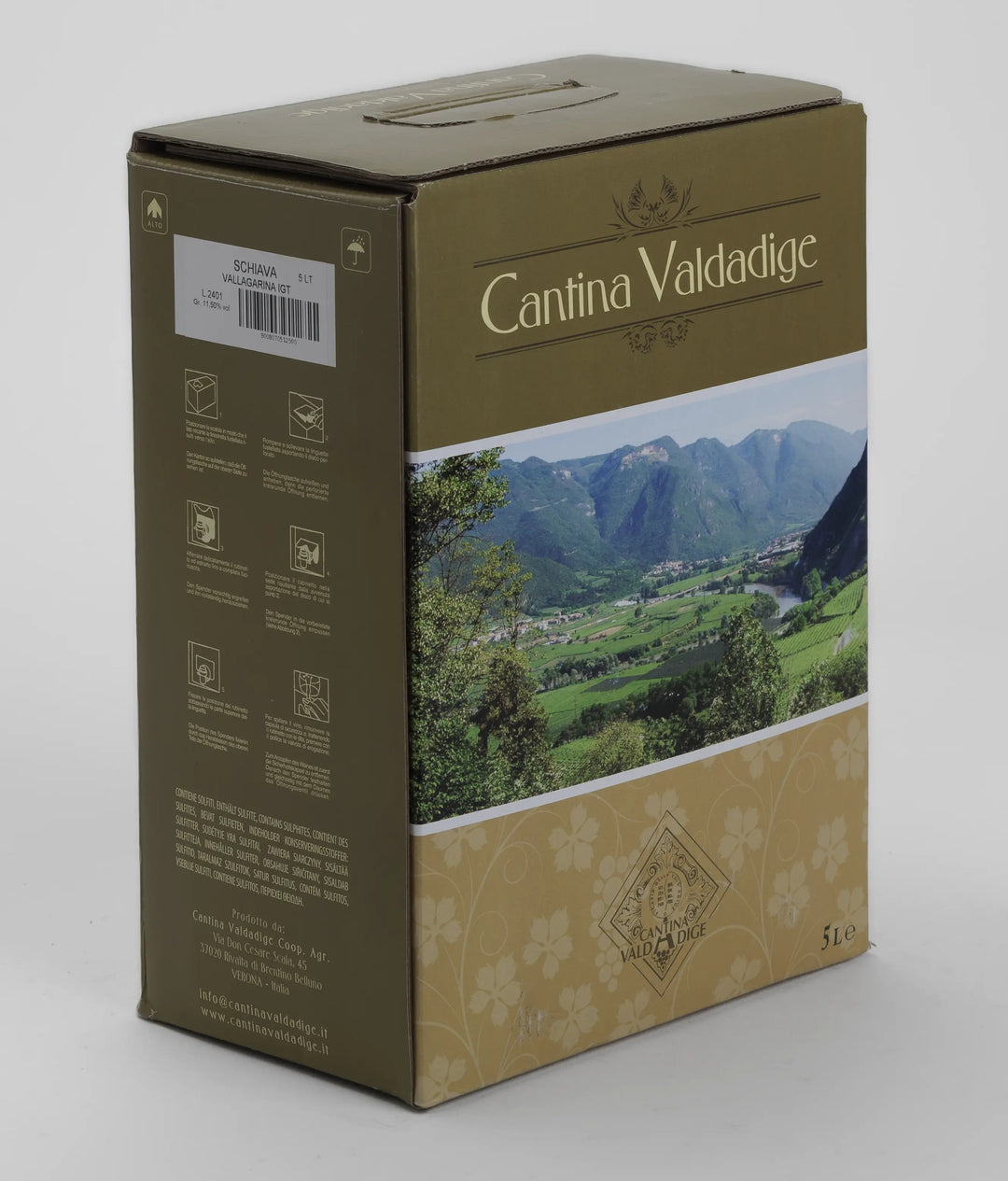 00001960_1_Image.erp.items.images.schiava_rosato_bag_in_box_5_litri_valdadige.jpg 00001960 picture