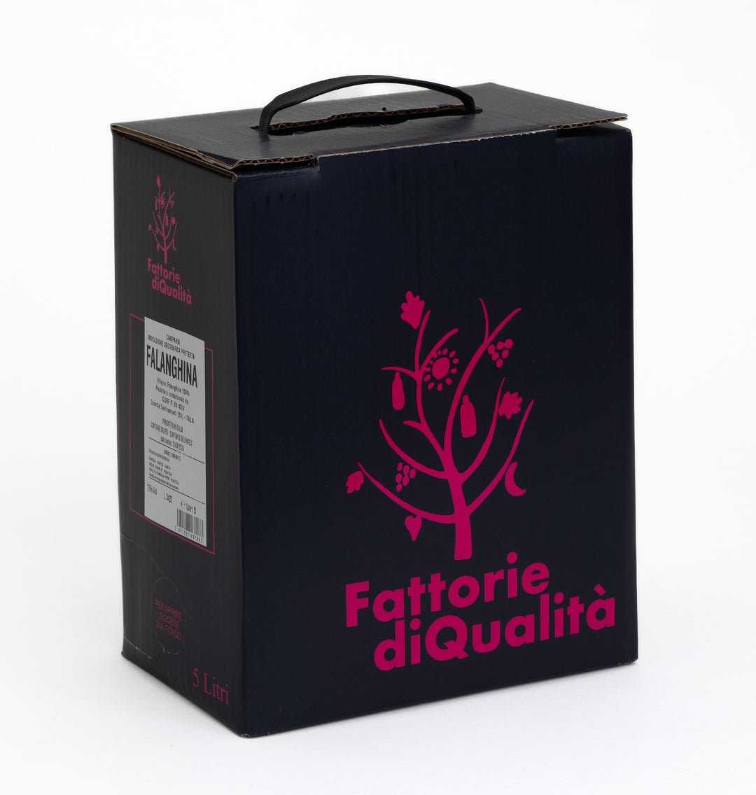 00003653_1_Image.erp.items.images.falanghina-bag-in-box-5-litri.jpg 00003653 picture