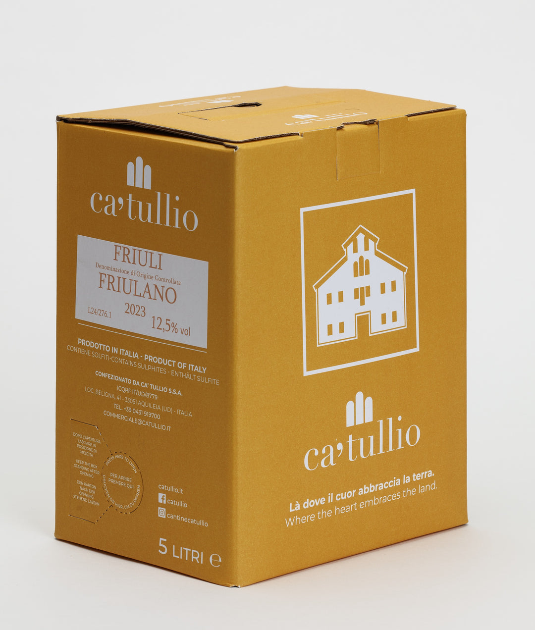 00003806_1_Image.erp.items.images.friulano_doc_ca_tullio_bag_in_box_5_litri.jpg 00003806 picture