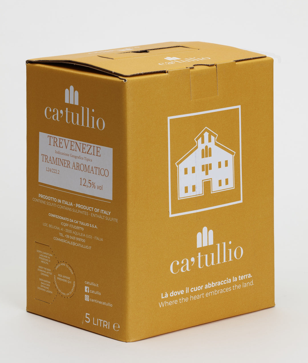 00003809_1_Image.erp.items.images.traminer_bag_in_box_5_litri_ca_tullio.jpg 00003809 picture