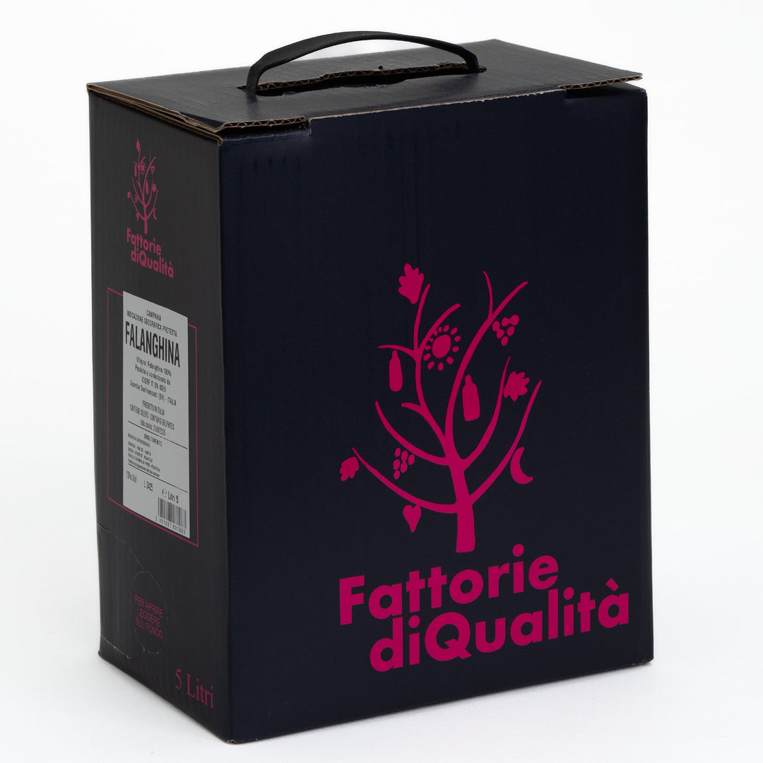 Vino Falanghina Campania IGT Tenuta San Girolamo bag in box 5 litri