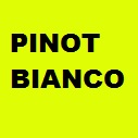 PROVA_1_Image.erp.items.images.pinot_bianco.jpg PROVA picture