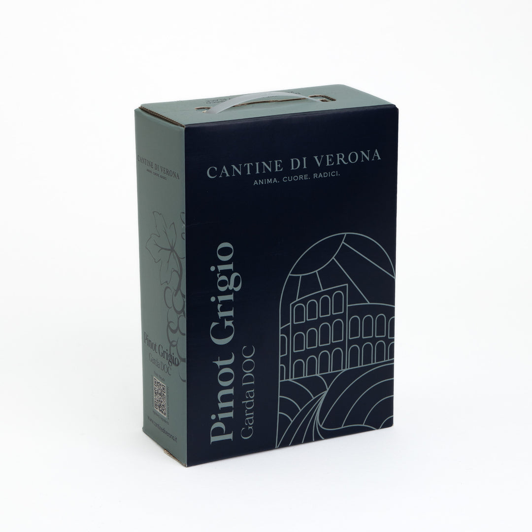 Pinot Grigio DOC Veneto Bag in Box 3 litri